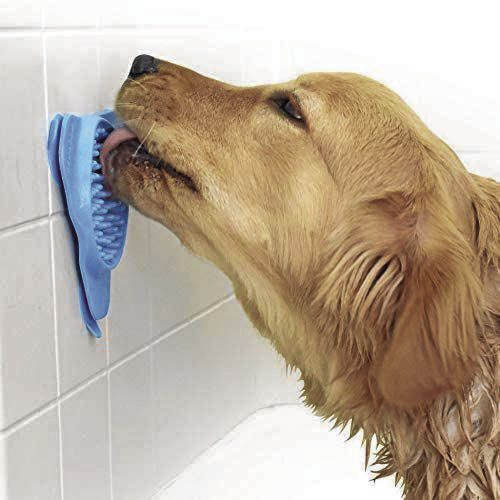 Aquapaw lick mat